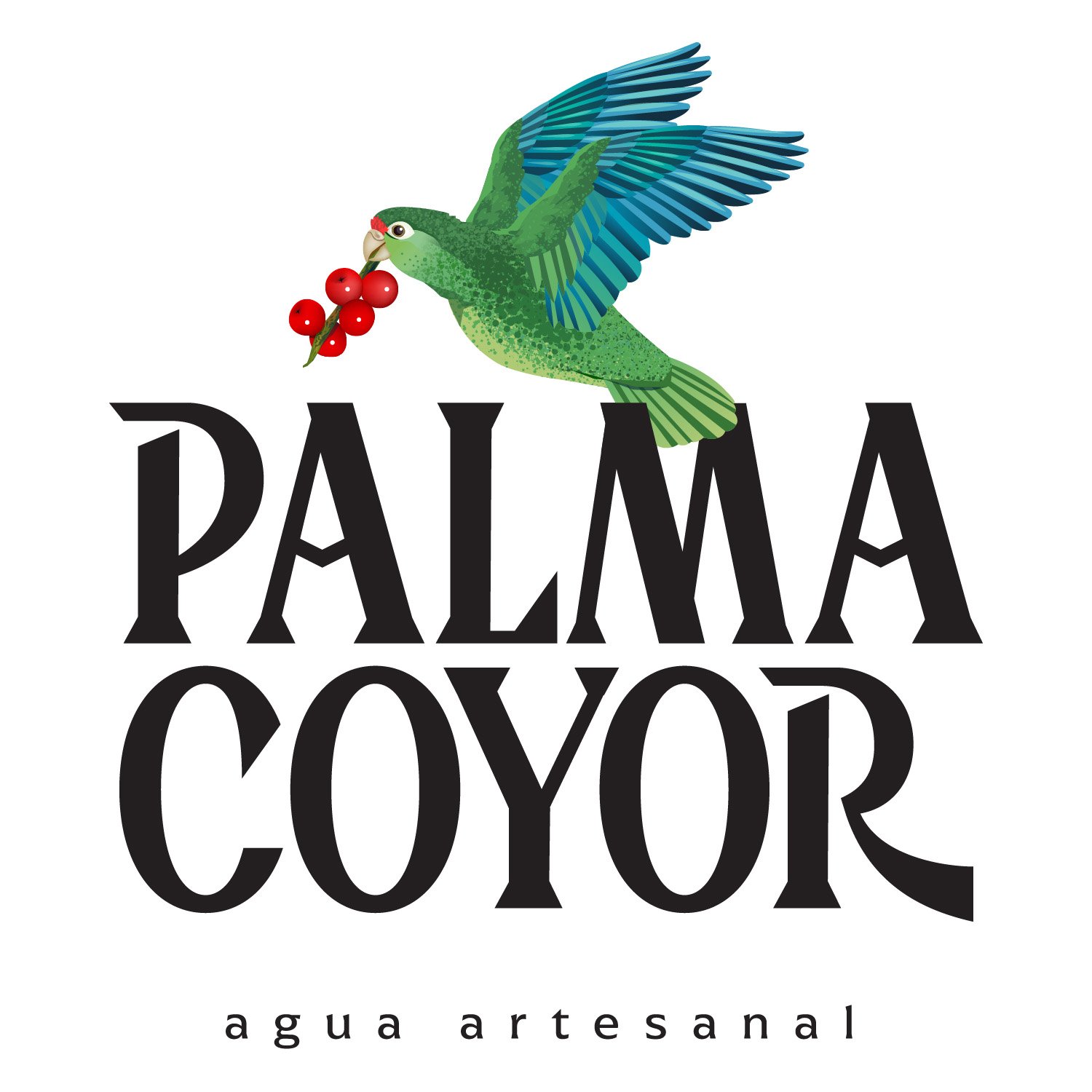 Palma – PALMA