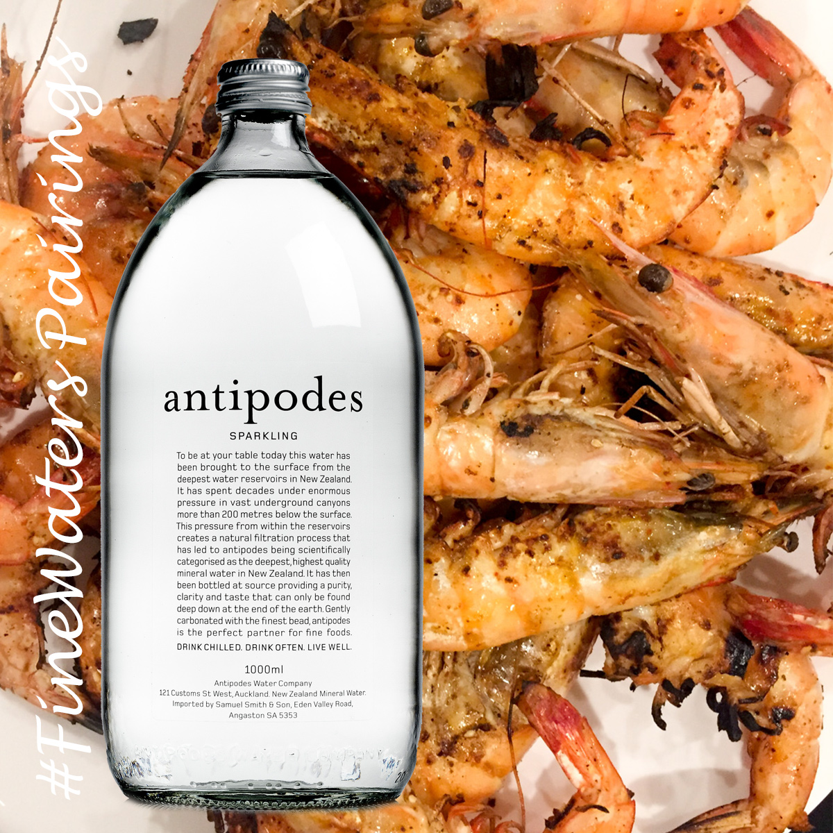 antipodes-shrimp